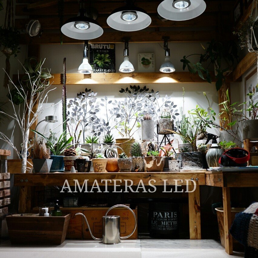 AMATERAS LED 20W（アマテラスLED 20W）植物育成LED – linkplants