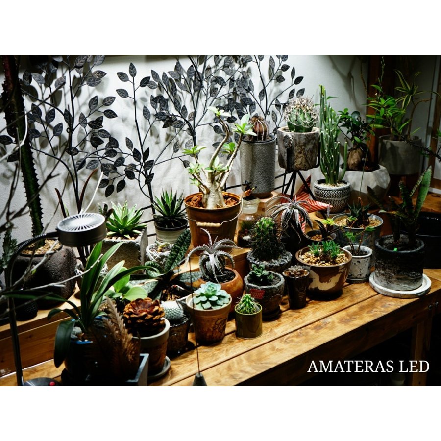 AMATERAS LED 20W（アマテラスLED 20W）植物育成LED