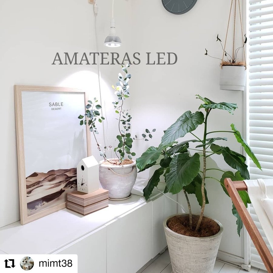 AMATERAS LED 20W（アマテラスLED 20W）植物育成LED – linkplants 