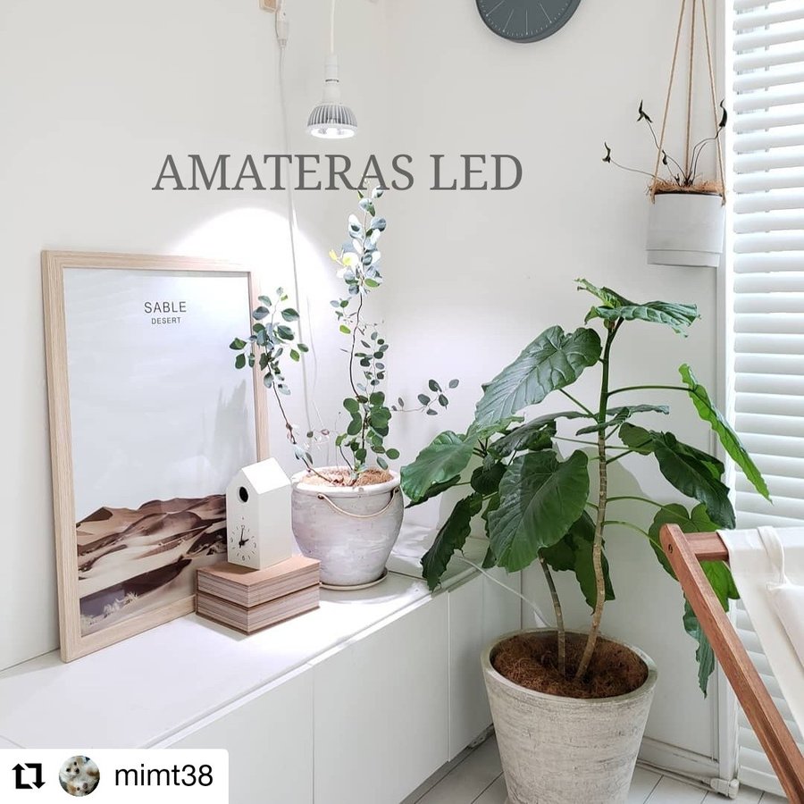 植物育成LEDライト AMATERAS 20W E26口径 アマテラス - 植物/観葉植物