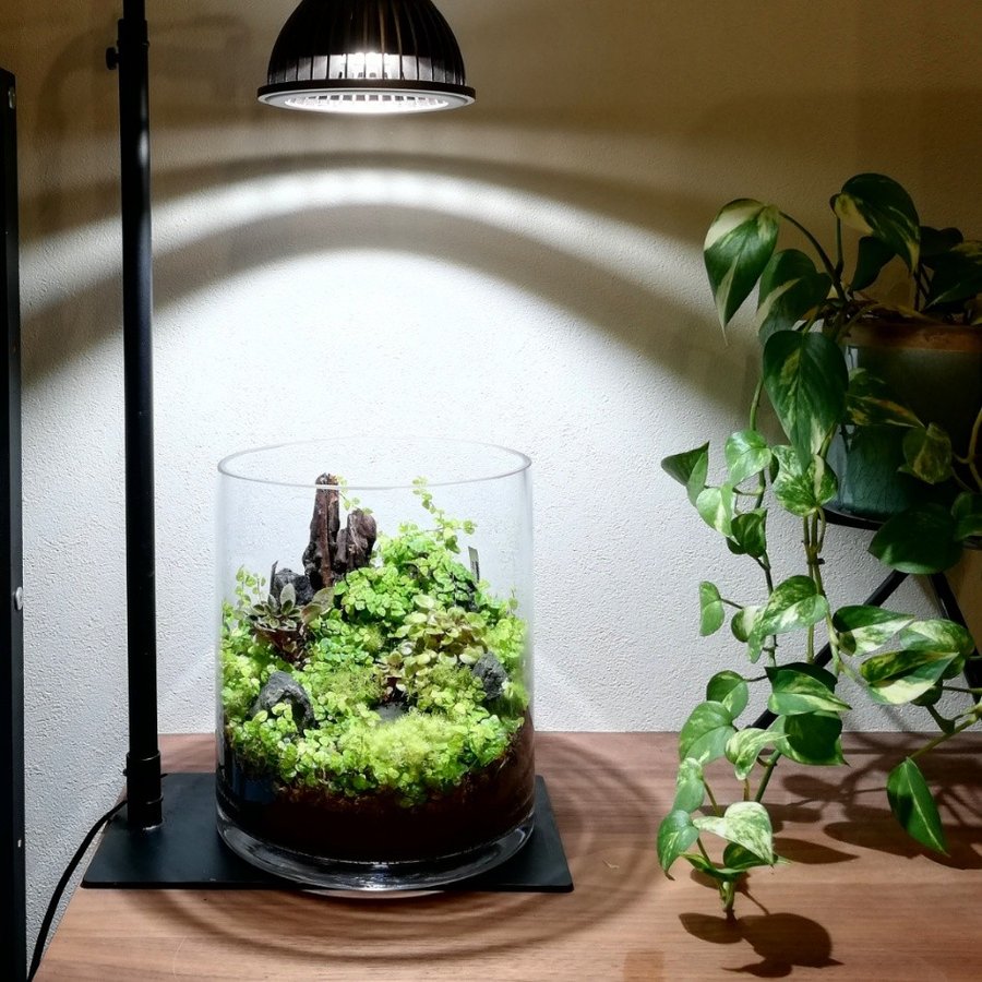 AMATERAS LED 20W アマテラス植物育成ライト＋クリップライト - 蛍光灯