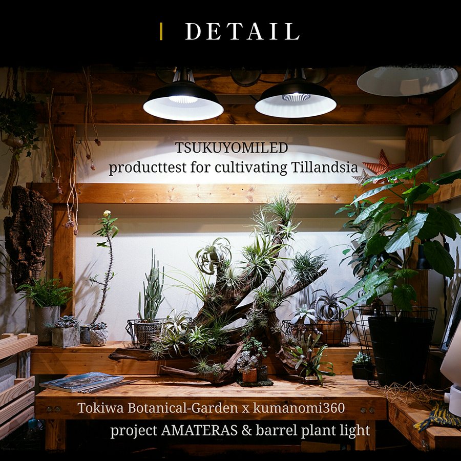 再入荷】 ツクヨミLEDライト TSUKUYOMI BARREL PLANT LIGHT bruxelles