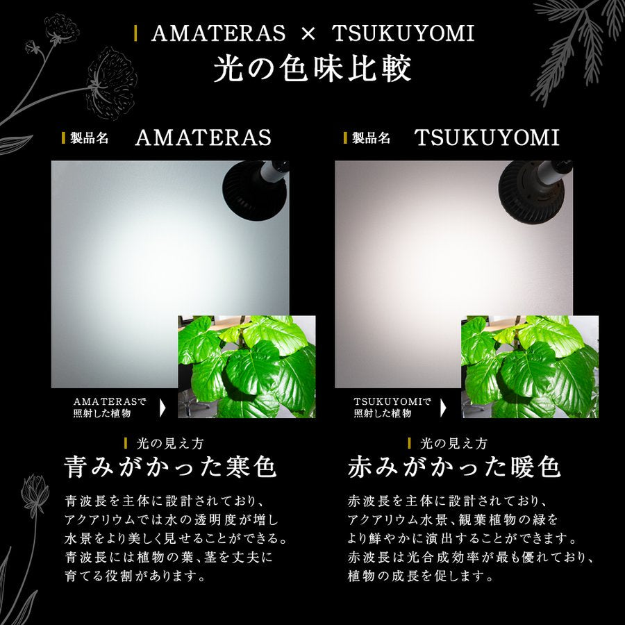 TSUKUYOMI ツクヨミ LED 20W アマテラス 植物ライト - 植物/観葉植物